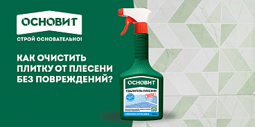 КАК ОЧИСТИТЬ ПЛИТКУ ОТ ПЛЕСЕНИ БЕЗ ПОВРЕЖДЕНИЙ? 